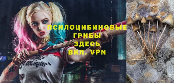 mix Алексин