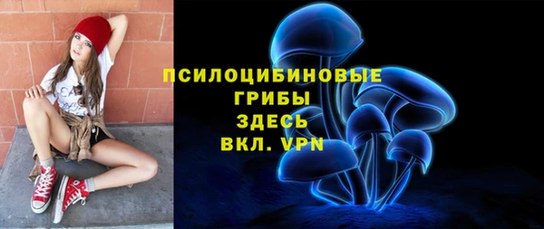 а пвп мука Абаза