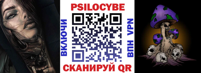 купить наркоту  Курлово  Галлюциногенные грибы GOLDEN TEACHER 